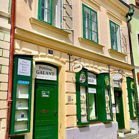 Ferienwohnung Apartman Galant Český Krumlov Exterior foto